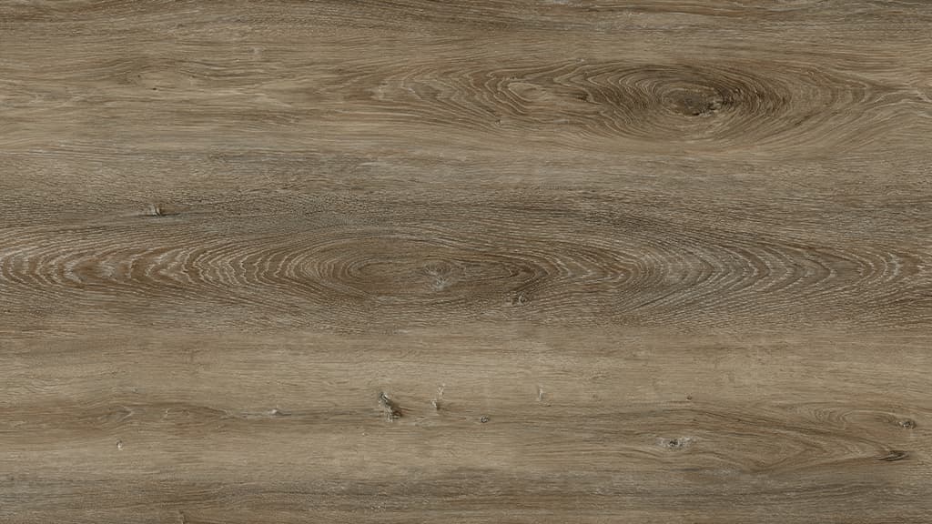 Chestnut Oak P-218