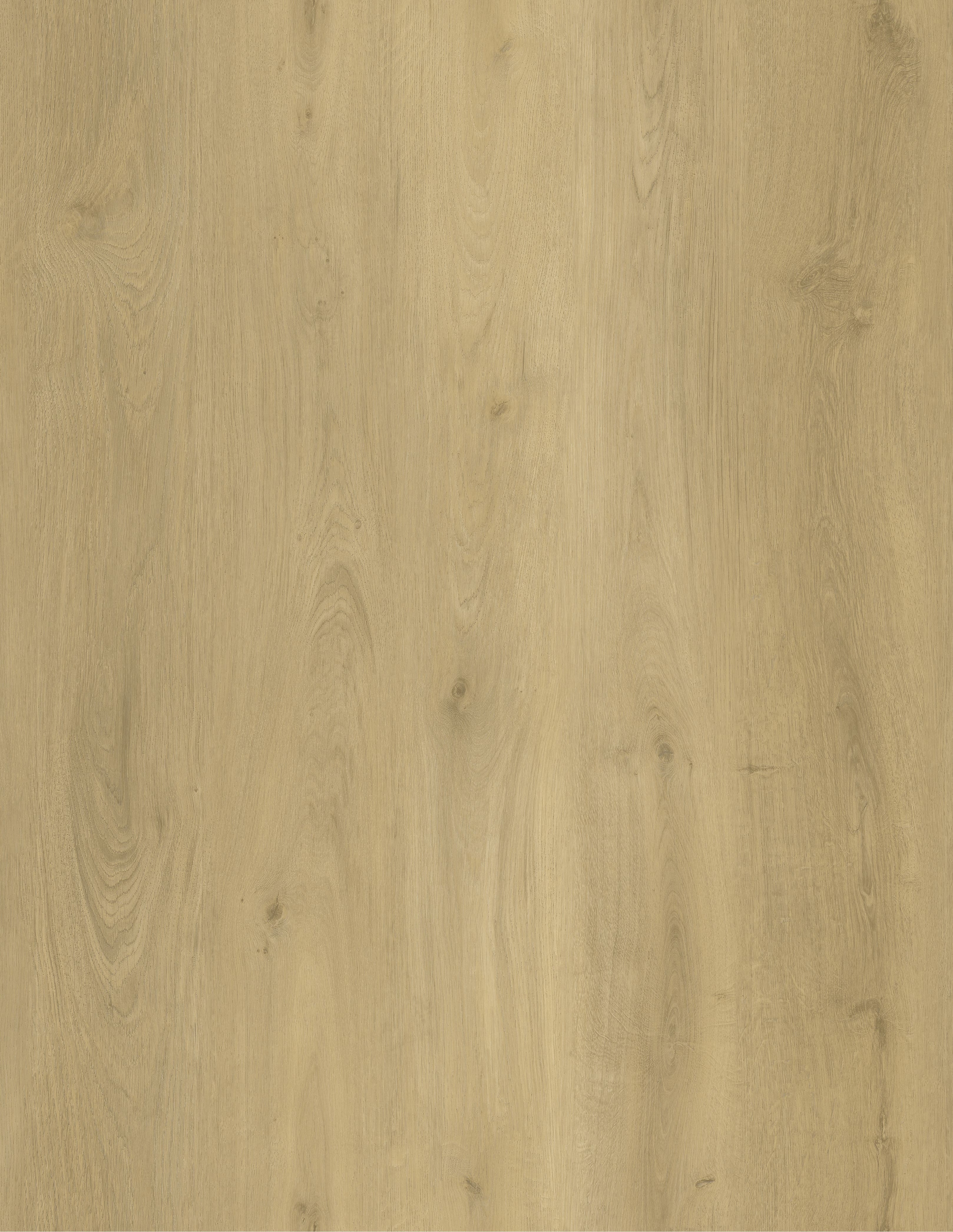 Buttermilk Oak 205