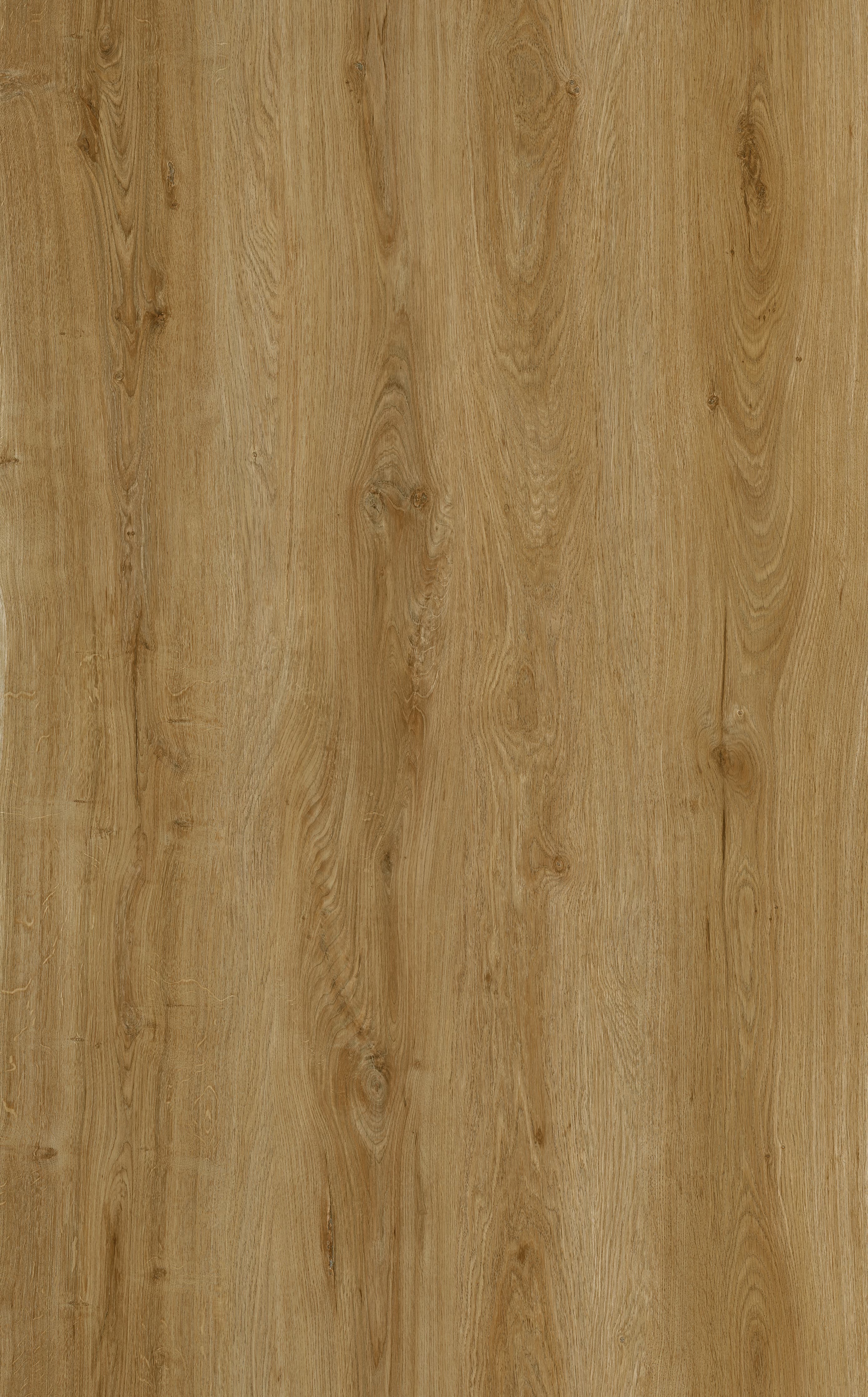Sahara Oak 215